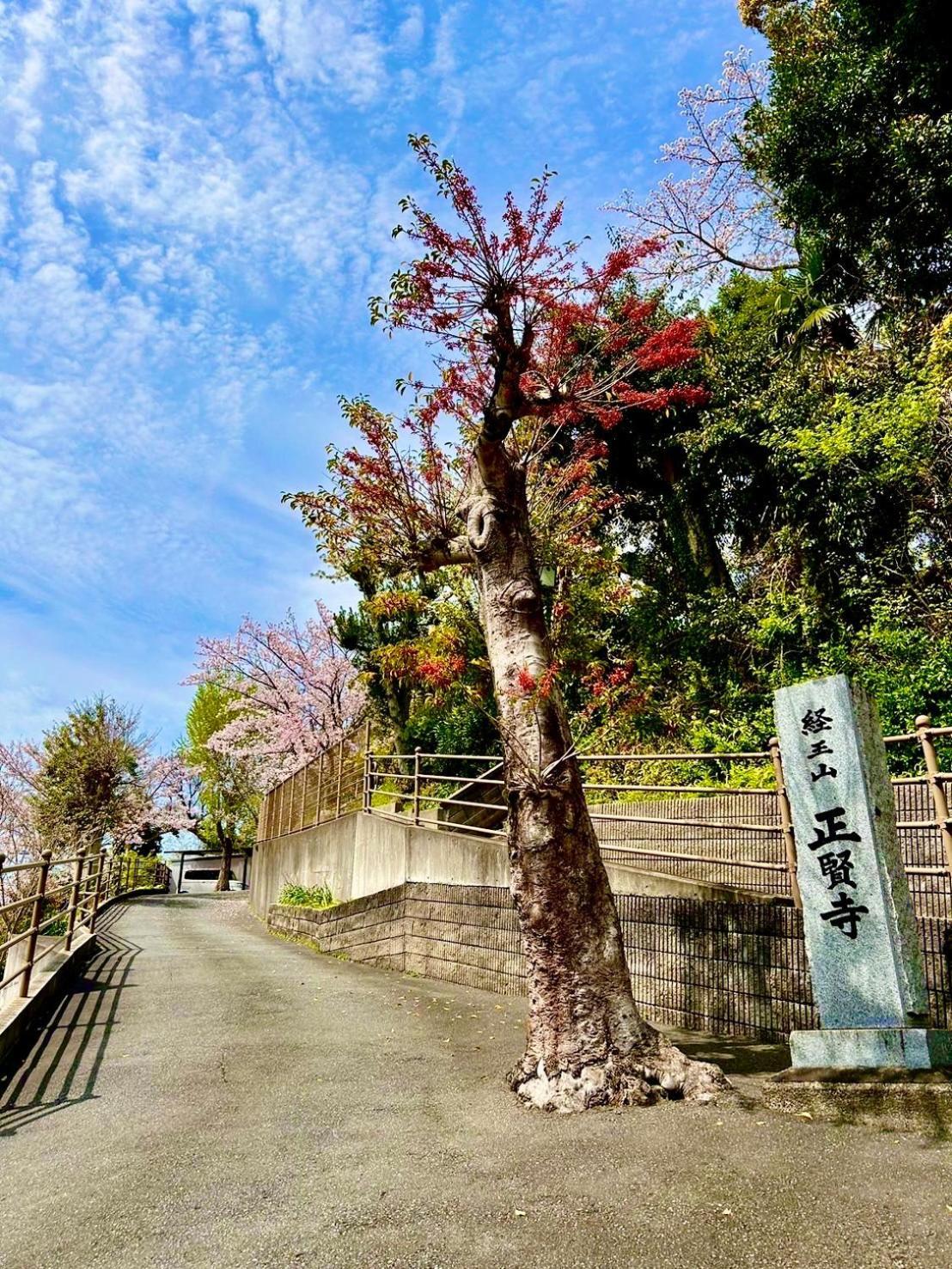 ゲストハウスｅn プレザント203 Kitakyushu